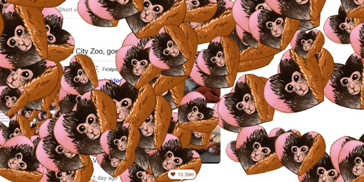 This Is What You’ll See When You Search “Punch The Monkey”