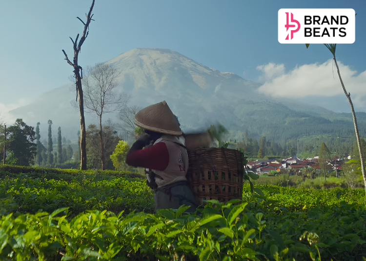Tea Culture Of The World Celebrates Global Tea Traditions With Cinematic Brand Film
